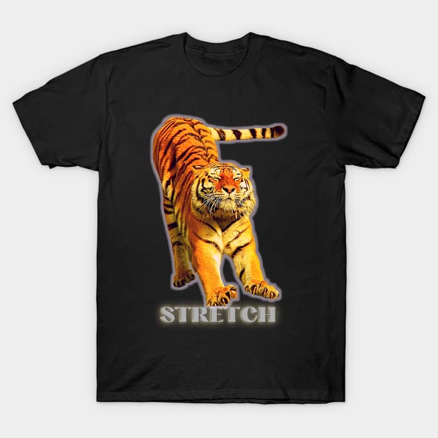 Large tiger doing a stretch exercise - silver text 1 T-Shirt by Blue Butterfly Designs 